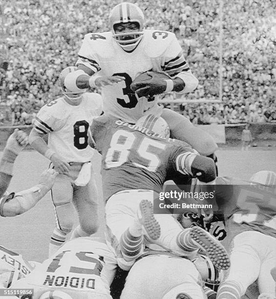 Saints' running back Jess Phillips is stopped in his tracks at the line of scrimmage by Miami Dolphins' linebacker Nick Buoniconti during a game at...