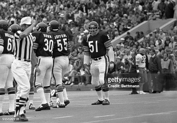 Chicago Bears' Dick Butkus walks back to the huddle during the game against the Dallas Cowboys.