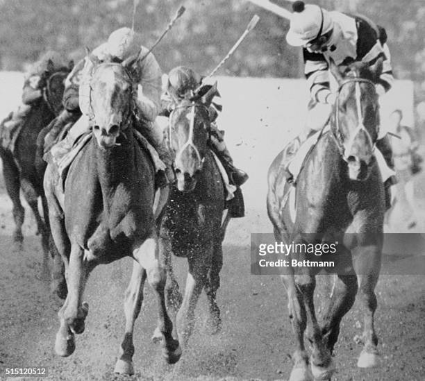 As Seattle Slew finishes a winner in the Preakness Stakes 5/21, jockey Jean Cruguet looks over his shoulder at second place finisher, Iron...
