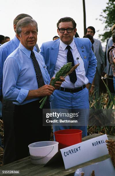 Texas Agriculture Commissioner Reagan Brown looks on as President Jimmy Carter holds milo during his tour of a drought damaged ranch. | Location:...