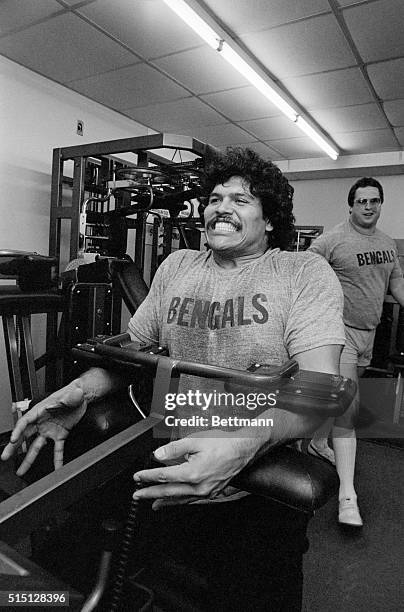 Cincinnati: Bengals second-year offensive tackle Anthony Munoz grits his teeth as he goes through weight lifting exercises January 4 as the...