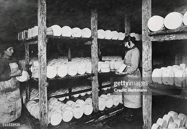 Scraping off the green mold off the cakes.