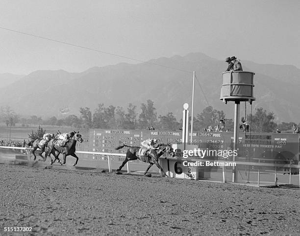 Arcadia, California. Seabiscuit crossing the finish line followed by his stablemate, Kayak II and A.C.T. Farms Wichcee , found the third time was a...