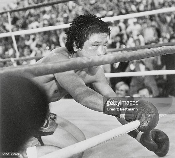 Deuk-Koo Kim, 134 1/4, drops to the canvas as he is knocked out in the 14th round by World Boxing Association lightweight champion Ray Mancini....