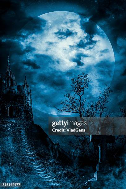 old castle - dead raven stock pictures, royalty-free photos & images