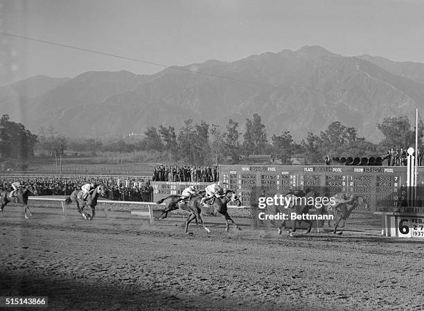 Rosemont Wins Santa Anita Handicap. Photo shows the close finish at Santa Anita, Cal., Feb. 27th, as Rosemont, Foxcatcher Farm entry, nosed out...