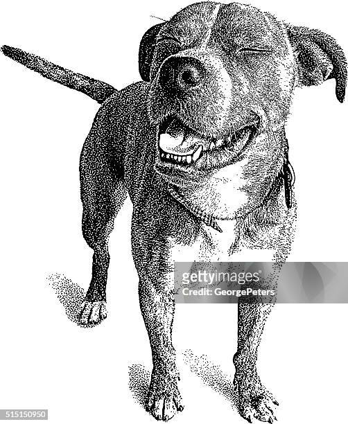 犬に面白い表情です。ボクサー、bulldog ミックスします。 - ボクサー犬点のイラスト素材／クリップアート素材／マンガ素材／アイコン素材