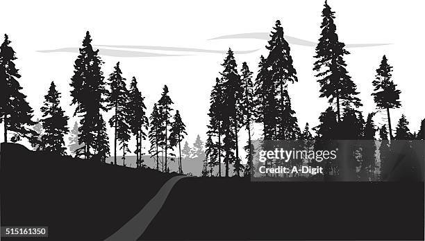 ilustraciones, imágenes clip art, dibujos animados e iconos de stock de silueta bosque camino - glade in the forest