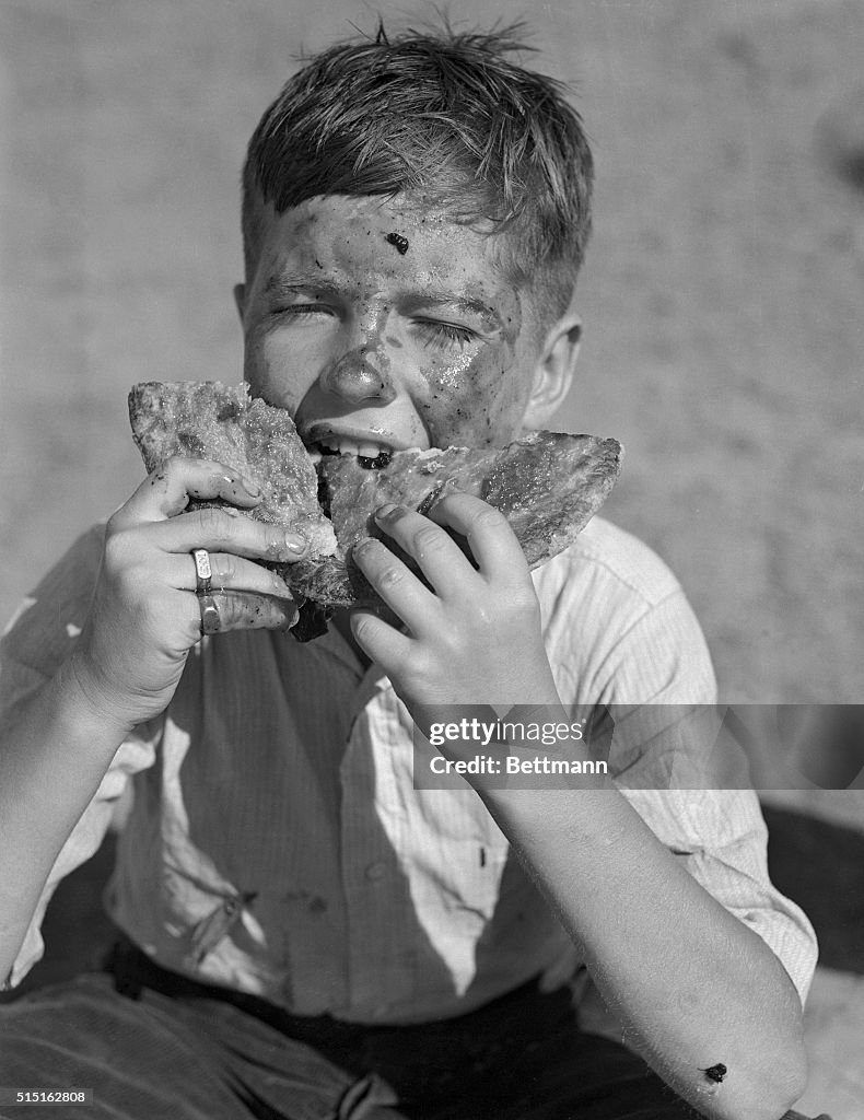 Boy Eating Pie with Both Hands