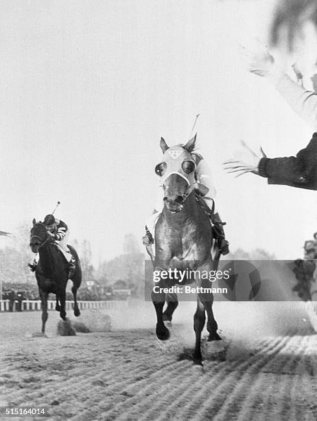 As Seabiscuit, War Admiral Fought for Lead. Baltimore, Maryland: Seabiscuit is on the inside, fighting it out almost neck and neck with War Admiral...