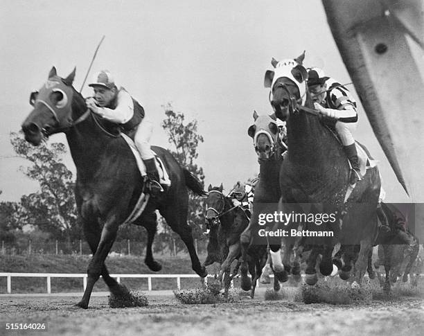 Thundering Down the Stretch in Santa Anita 'Cap. Arcadia, California: When the horse came thundering down the stretch in the $100,000 Santa Anita...