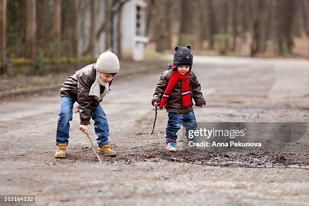 brothers with sticks playing in a puddle - eenjarig plantenkenmerk stockfoto's en -beelden