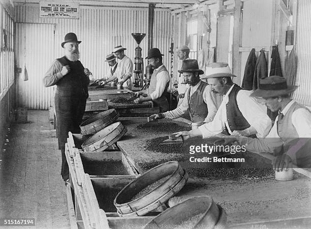 South Africa-ORIGINAL CAPTION READS: Workers sorting the gravel for diamonds at Kimberly mine. Undated photo.