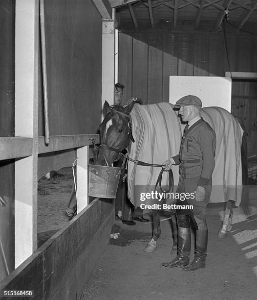 Whirlaway, Warren Wright's Kentucky Derby winner, who repeated yesterday by taking the Preakness, stops for a drink of water after romping home five...