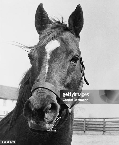 Samuel Riddle 70 Samuel Riddle Stock Photos, High-Res Pictures, and Images - Getty Images