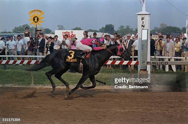 Baltimore: Alex Solis, riding aboard Snow Chief, heads to the finish line to win the 111th running of the Preakness Stakes by four lengths, at...