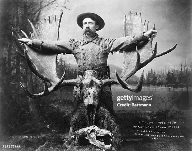 Record Moosehead--69-Inch spread shot in Alaska, 1897. BPA2# 2471