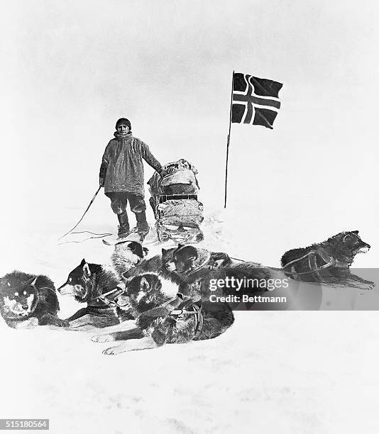 Member of the five-man Antarctic expedition team led by Roald Amundsen poses with sled dogs during the journey to the South Pole in 1911. The team...