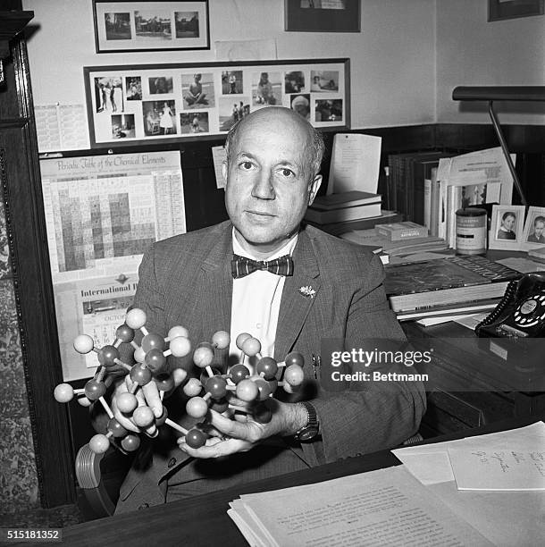 Berkeley, CA- Holding a model of the sucrose molecule used in his current study of sugar structure, Dr. Melvin Calvin, 50 carries out research in his...