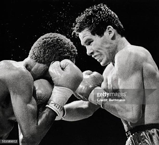 Tijuana, Mexico- W.B.C. Junior lightweight champion Julio Cesar Chavez punches challenger Danielo Caberera of the Dominican Republic during 11th...