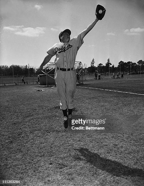 Outfielder Duke Snider catches the ball during Brooklyn Dodgers spring training in Vero Beach, Florida, USA.