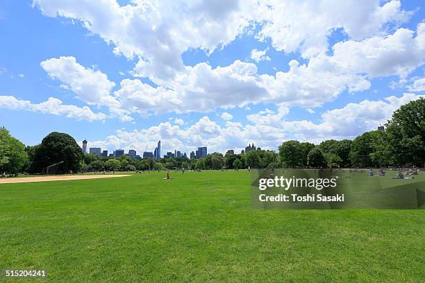 the clouds above the great lawn. - above central park stockfoto's en -beelden