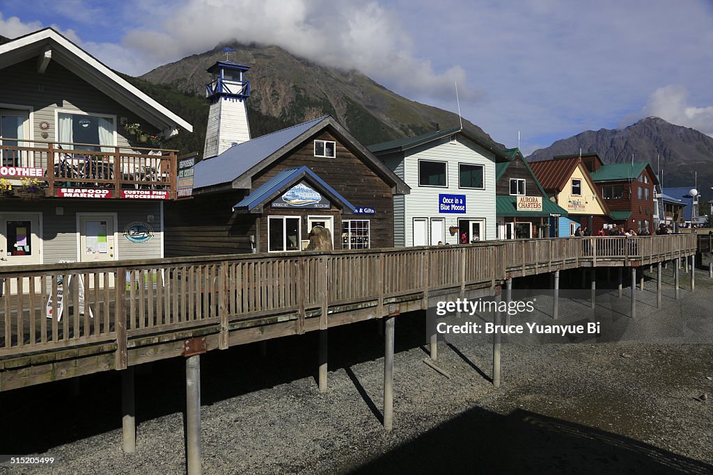 The Seward Boat Harbor