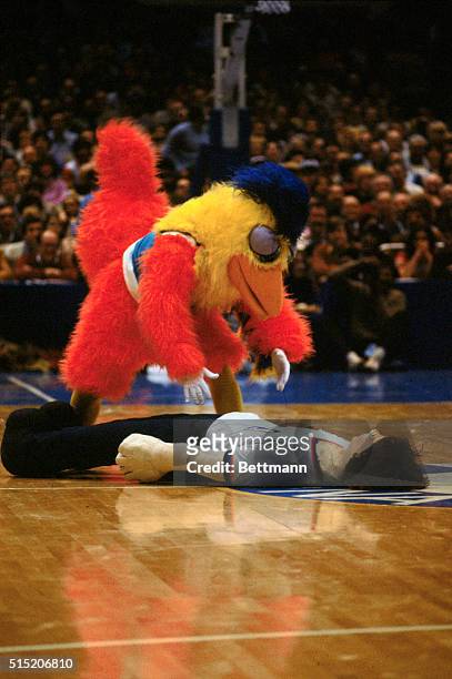 The famous sports mascot, The San Diego Chicken, leans over a dummy at the 1982 National Basketball Association All Star Game.