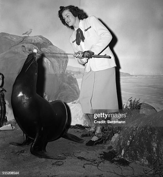 Sharkey the seal balances a golf ball on his nose so that Babe Didrikson Zaharias, U.S. Women's Open Golf Champion, can sock it off. The light moment...