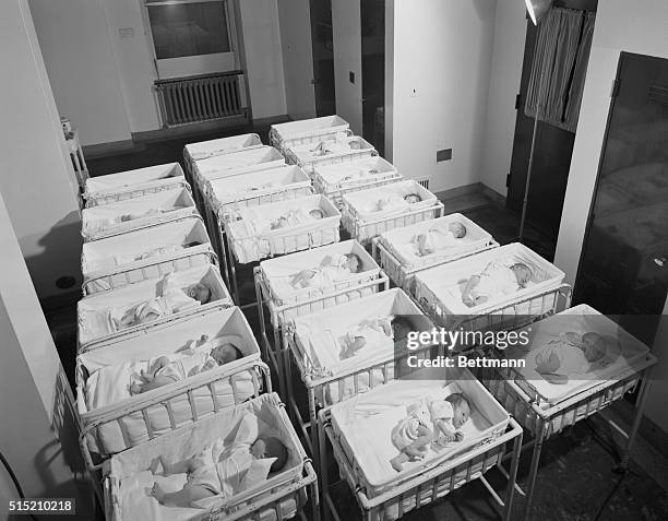 New York, NY: Array of newborn babies in cribs at Beth Israel Hospital in New York. Undated B/W Photograph. BPA2# 660