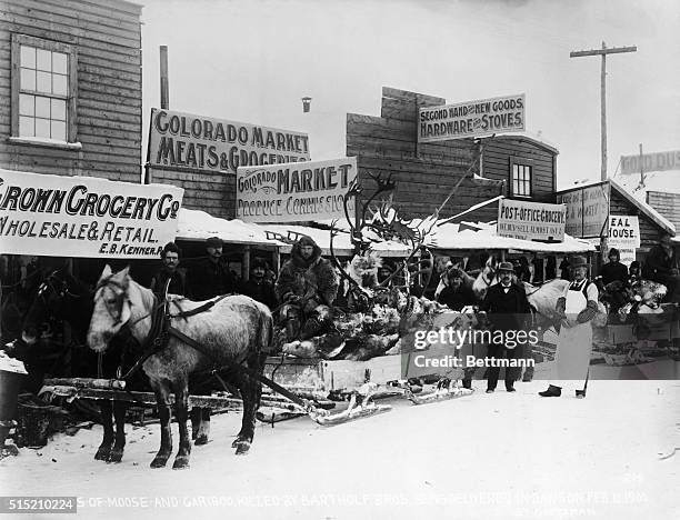 Dawson, AK: Delivery of sled full of moose and cariboo.