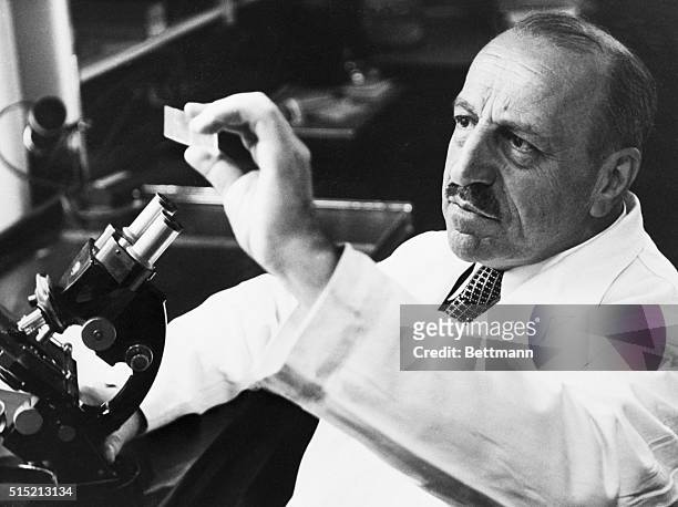 New York, NY: Dr. George N. Papanicolaou examines a slide here. "Dr. Pap" devised the "Pap" smear test for cancer, which the American Cancer Society...