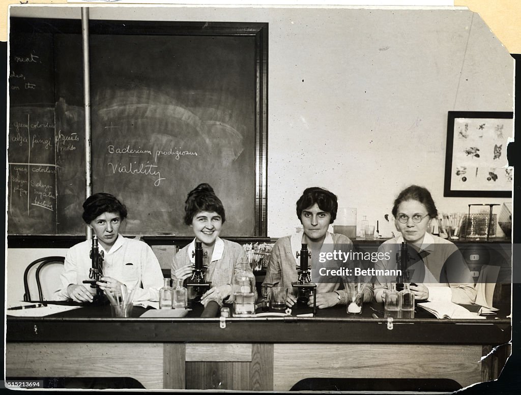 Women Seated At Microscopes In Lab