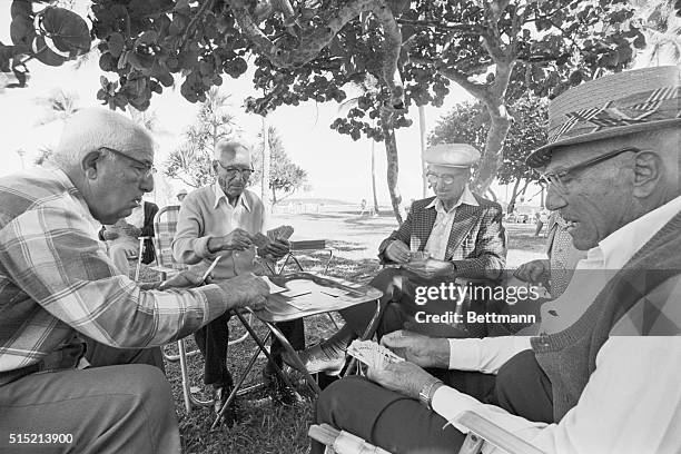 Miami Beach, Florida- Four men play cards in the shade of a tree in a park in Miami Beach, said to contain the highest concentration of elderly...