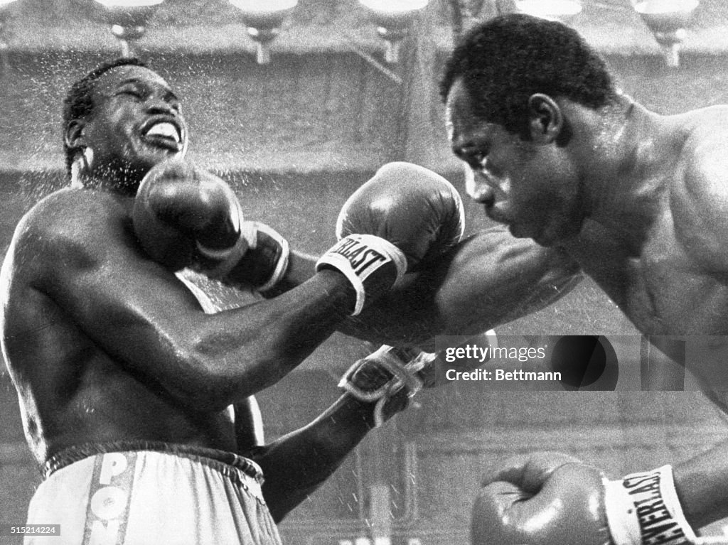 Larry Holmes and Ken Norton