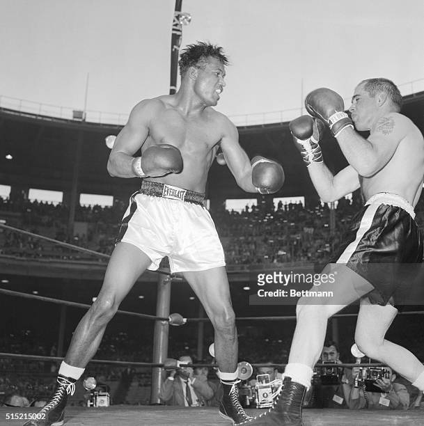 Chicago, IL-: Sugar Ray Robinson lands the left that ended his 15-round bout with Carl "Bobo" Olson in the final minute of the fourth round.