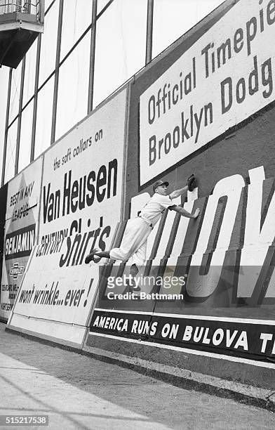 New York, New York- Duke Snider, star centerfielder for the Brooklyn Dodgers, is shown jumping against the centerfield wall at Ebbets Field this...