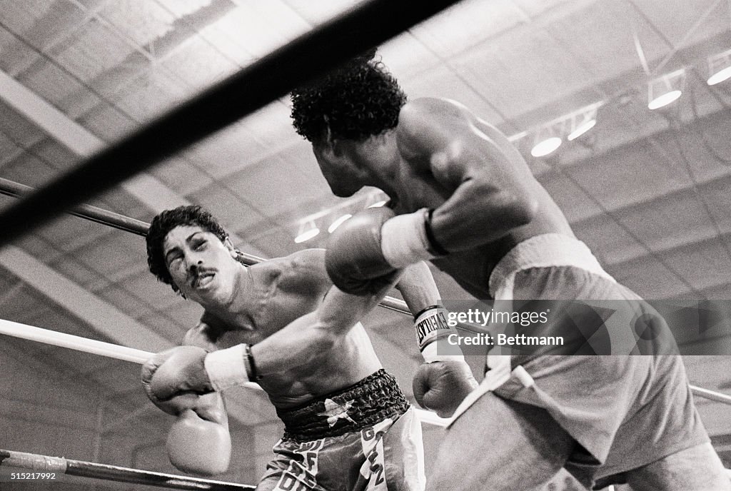 Wilfredo Gomez Dazed By Salvador Sanchez Punch