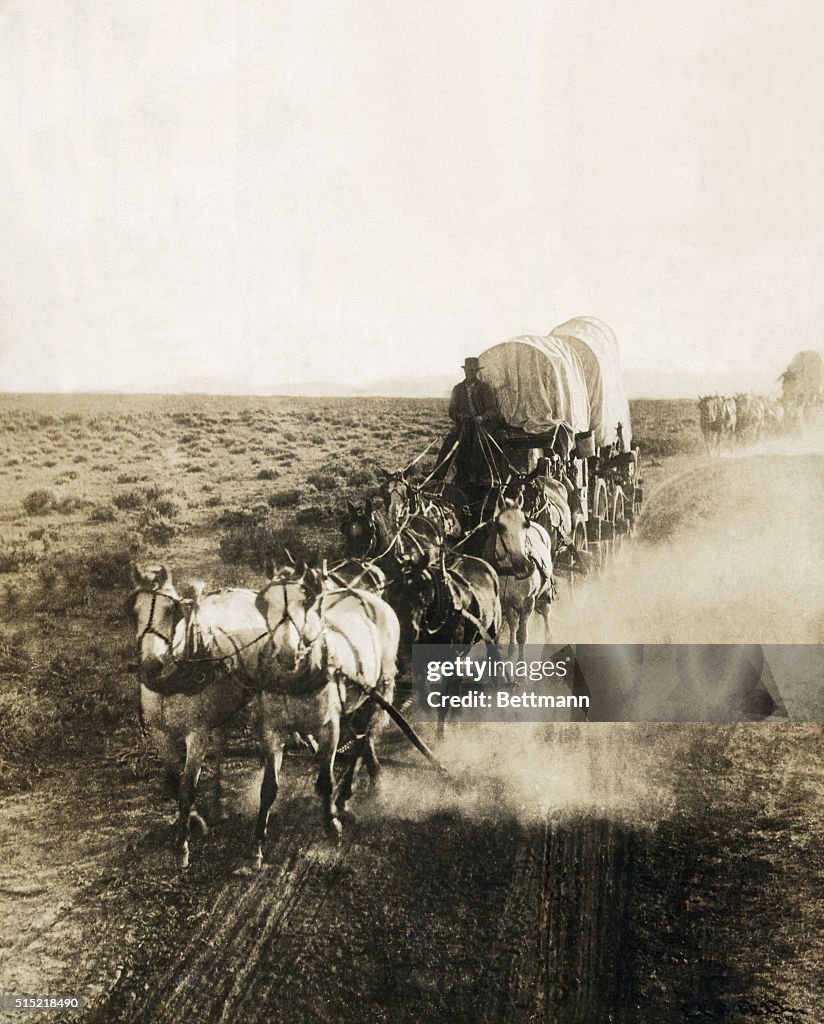 Covered Wagons on the Plains Going West