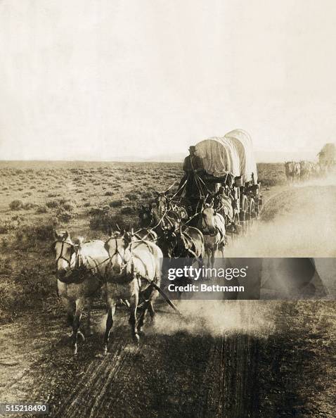 Covered Wagons on the Plains Going West