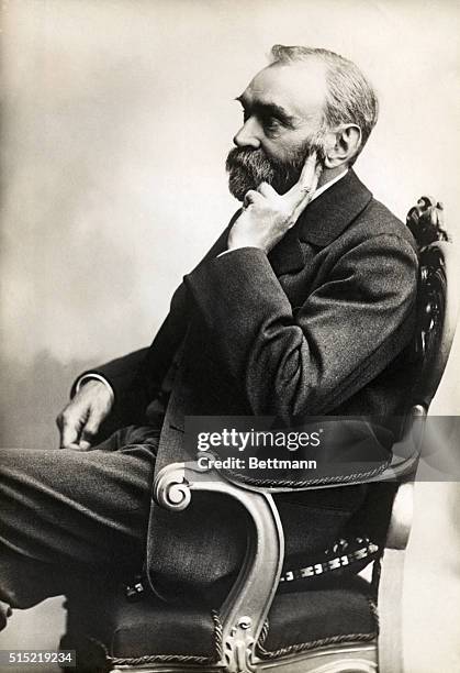 Seated portrait of Alfred Nobel. He is shown in near profile, with his hand to his beard. Undated photograph.