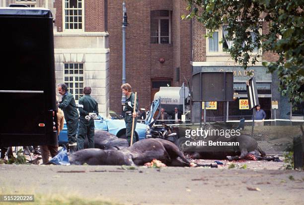 Bombings. The carcasses of the horses of the Household Cavalry lie in the road in Hyde Park as the clearing up begins after IRA car bomb exploded.