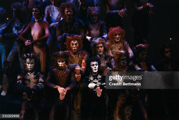 Members of the cast of the Andrew Lloyd Webber Broadway musical, Cats, perform at Tony Awards.