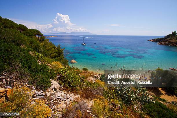 lily island in tuscany - giglio stock-fotos und bilder