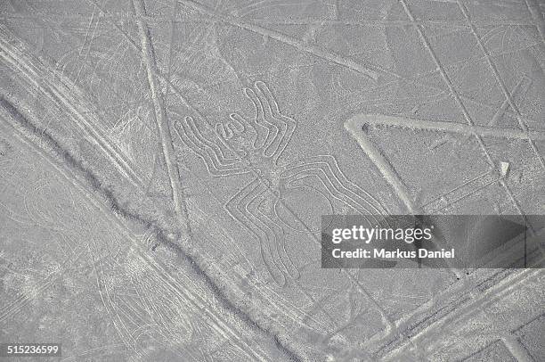 aerial view of the "spider" nazca lines - nazca lines stock-fotos und bilder