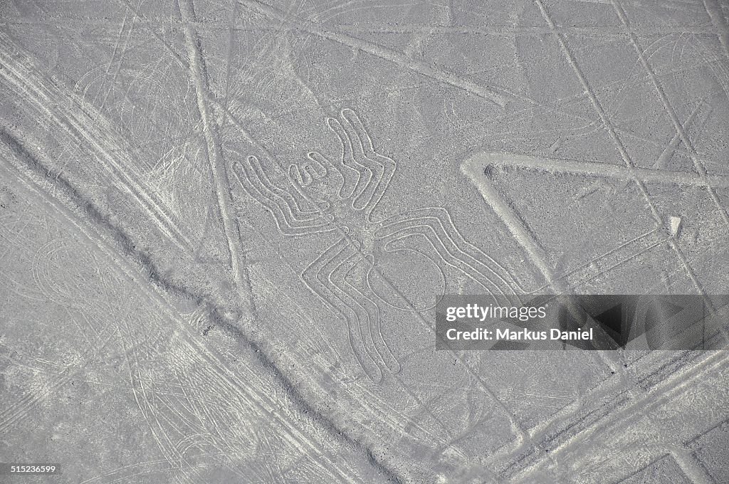 Aerial view of the "Spider" Nazca Lines