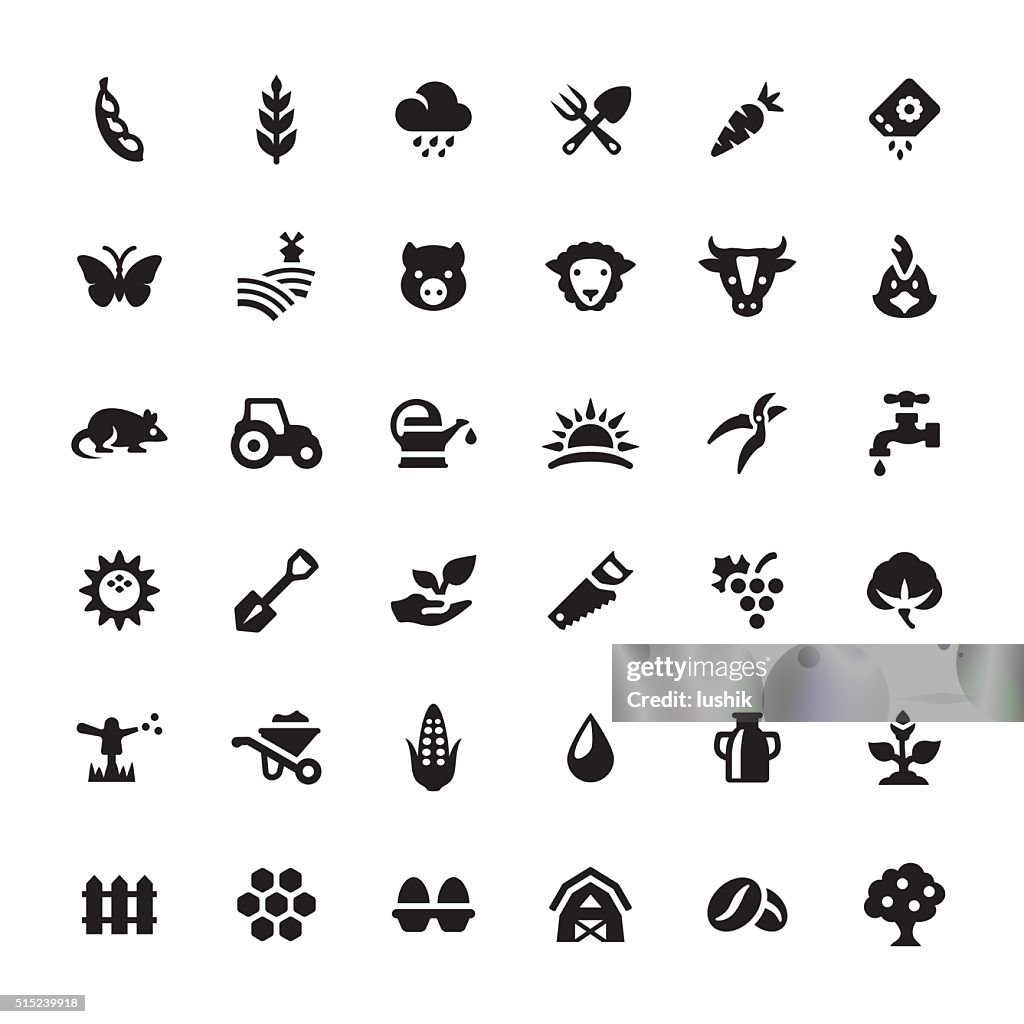 Farm and Agriculture vector symbols and icons