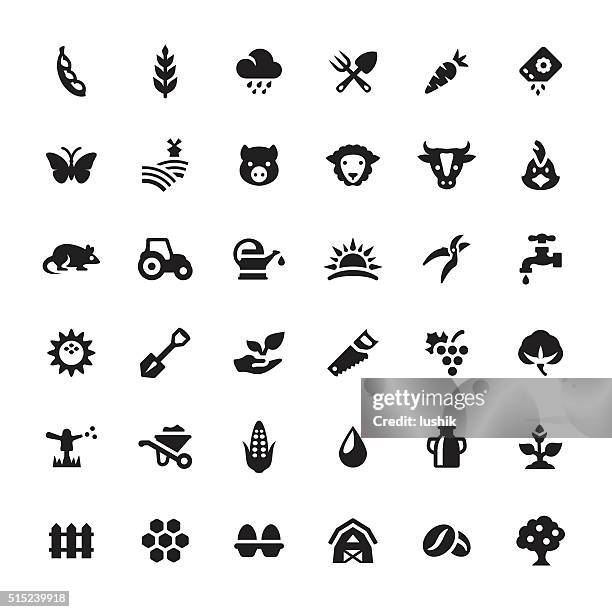 farm and agriculture vector symbols and icons - bean 幅插畫檔、美工圖案、卡通及圖標