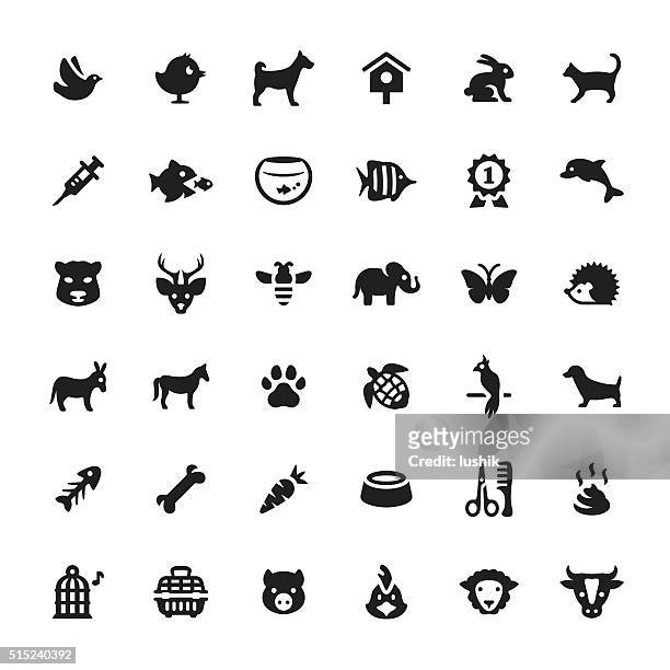 zoo and pets vector symbols and icons - 兔 動物 幅插畫檔、美工圖案、卡通及圖標