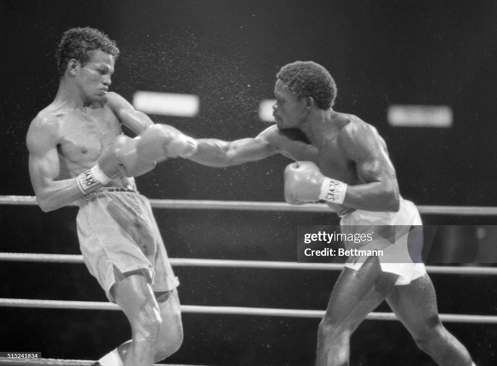 WBC Featherweight Title Match